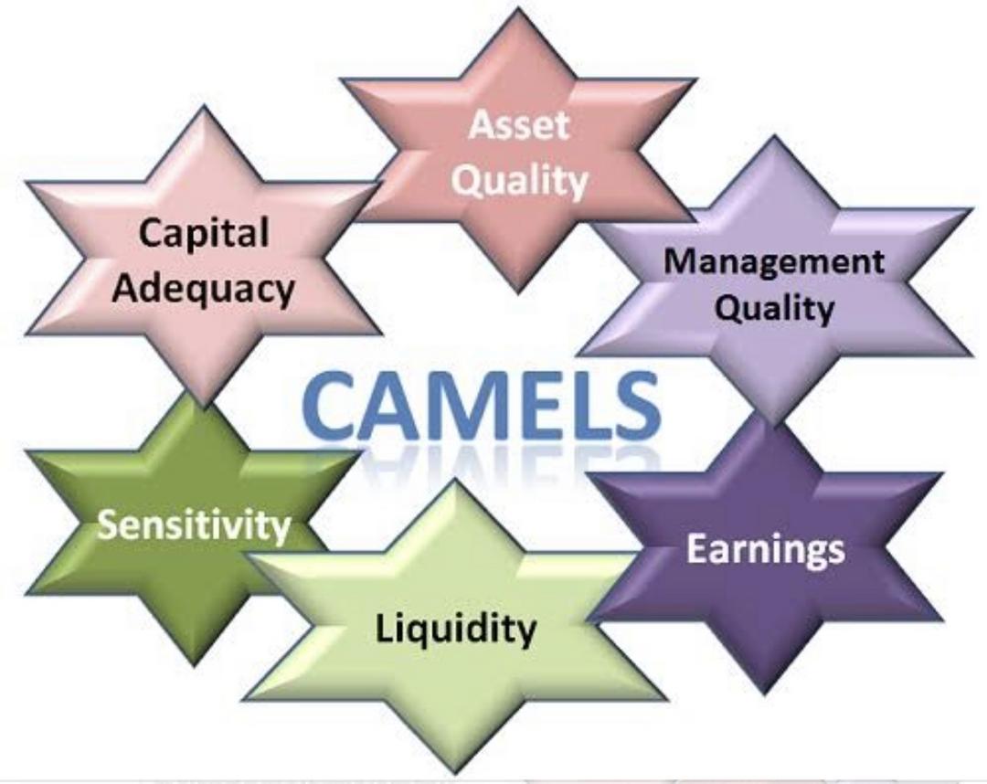 Modelo de CAMELS para avaliação do Conselho